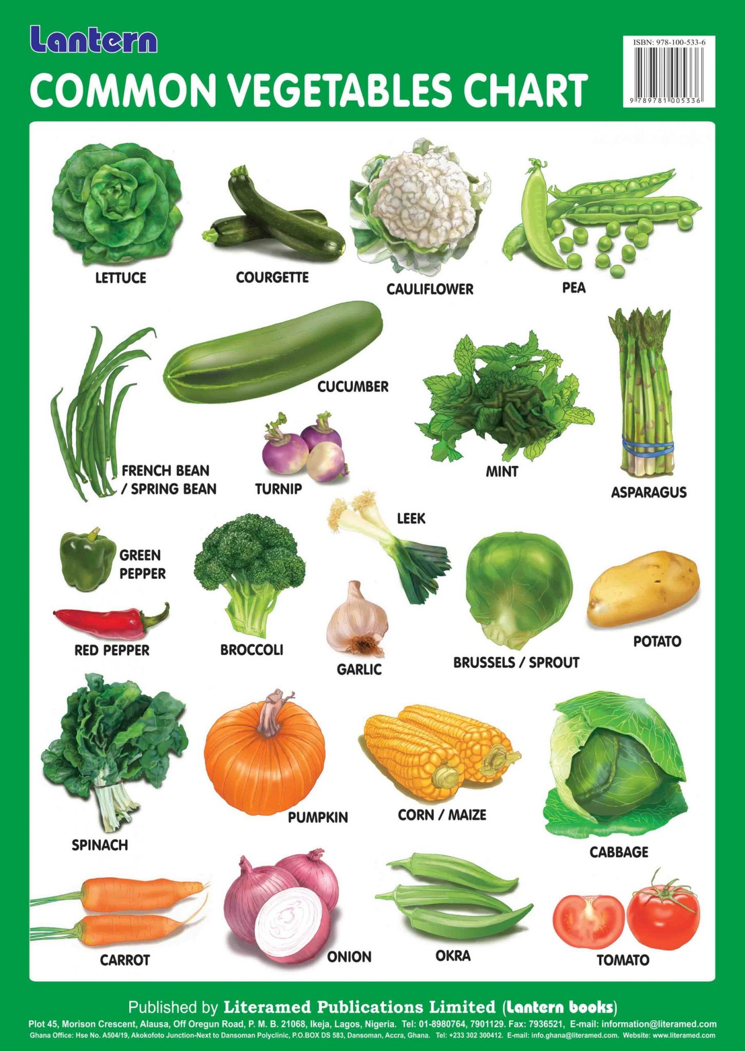 Wall Chart Common Vegetables Lantern Books