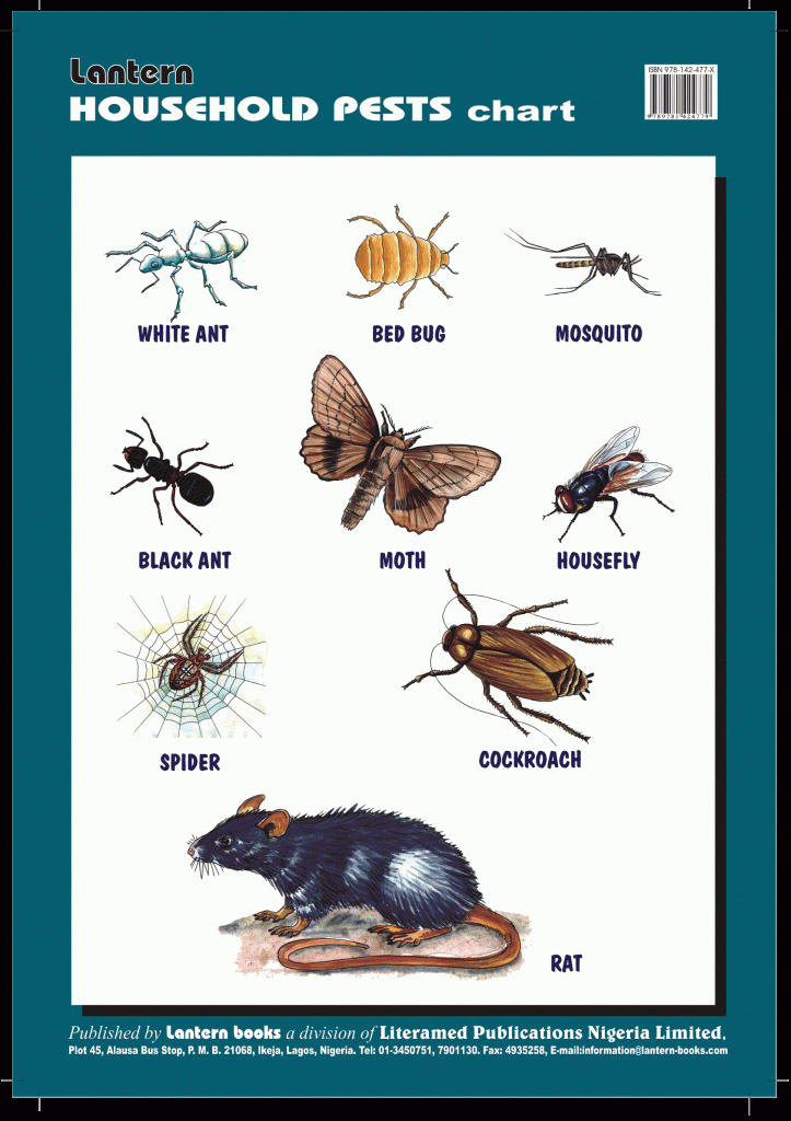 Wall Chart Household Pests Lantern Books