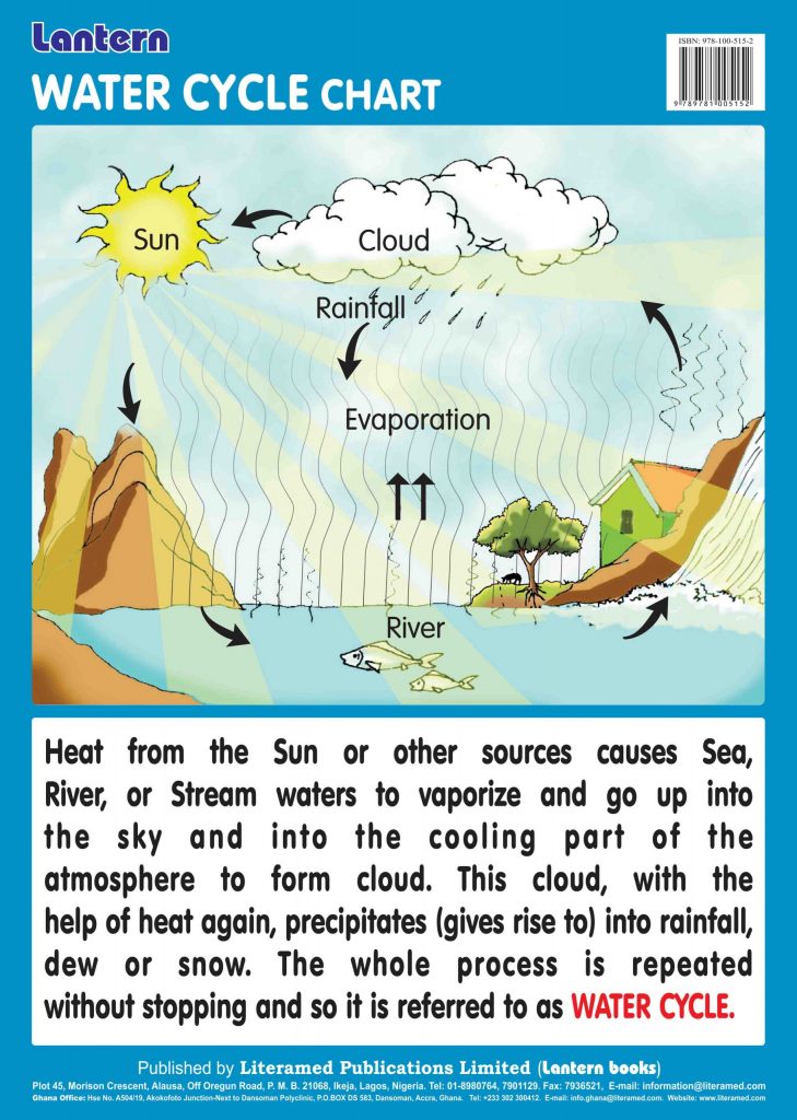 Wall Chart: Water Cycle - Lantern Books